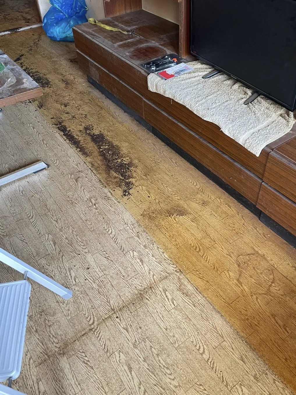 Vorher: verschmutzter Holzboden in einer Wohnung vor der Reinigung